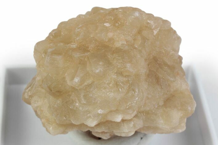 Citrine Quartz Star Pseudomorph after Ikaite - Morocco #381430
